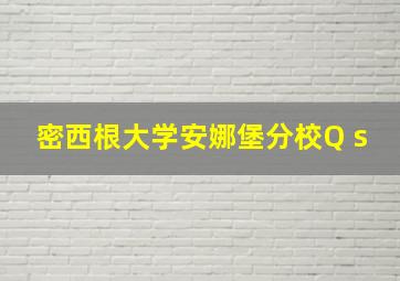 密西根大学安娜堡分校Q s